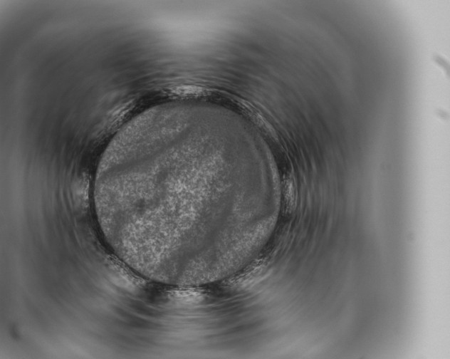 X0000096480668200802141723