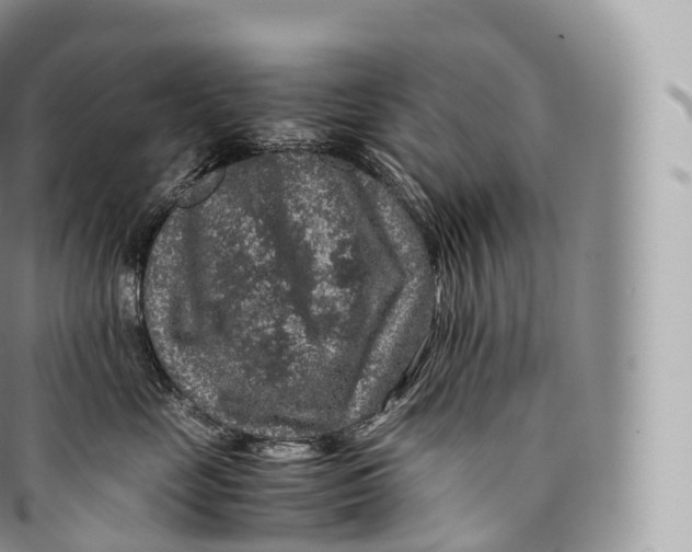 X0000096480669200802141723