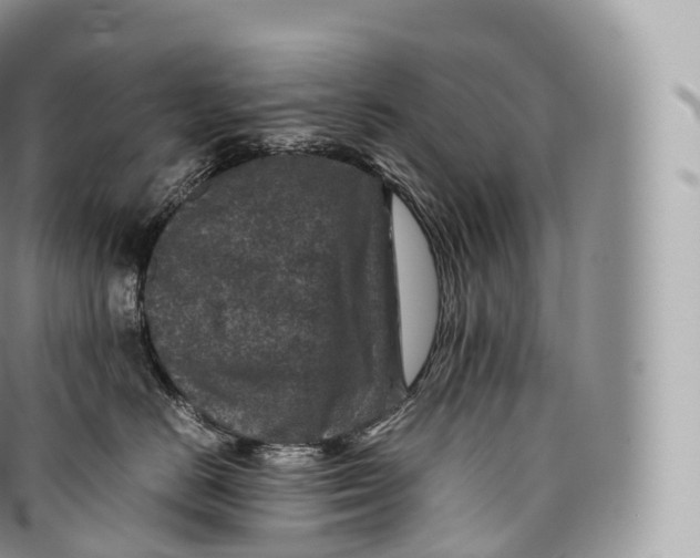 X0000096480670200802141723