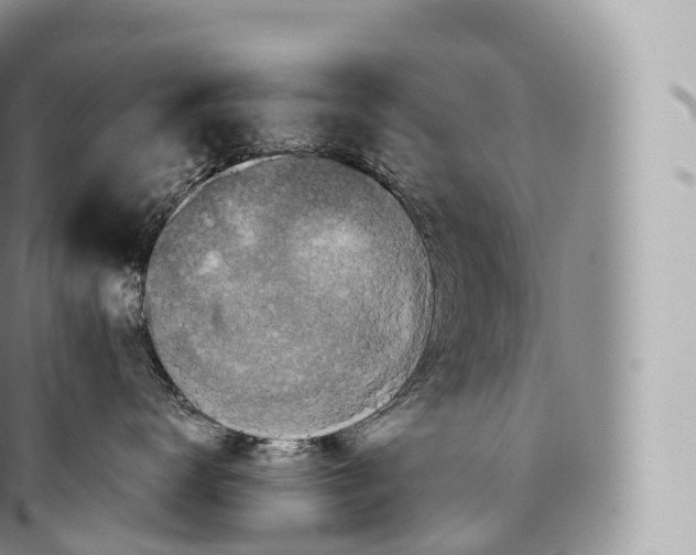 X0000096480672200802141723