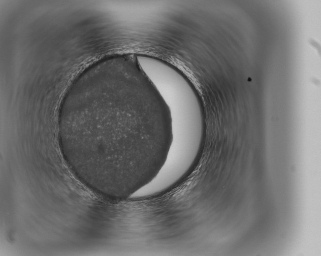 X0000096480673200802141722