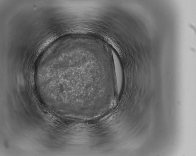 X0000096480675200802141722