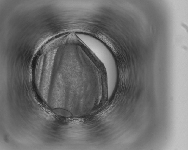 X0000096480676200802141722