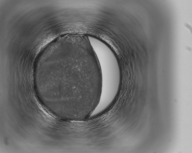 X0000096480677200802141722