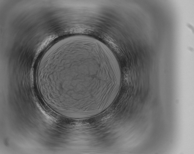 X0000096480678200802141722