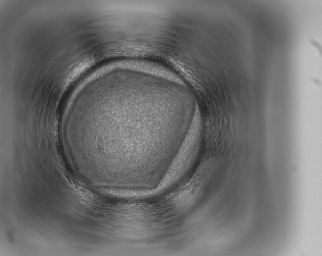 X0000096480679200802141722