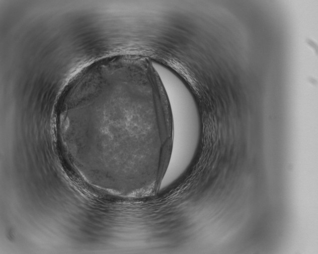 X0000096480680200802141722