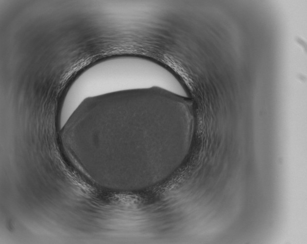 X0000096480681200802141722