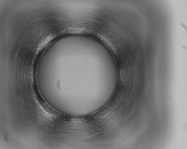 X0000096480682200802141722