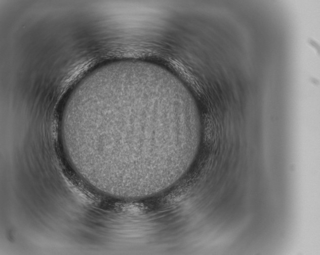 X0000096480683200802141722