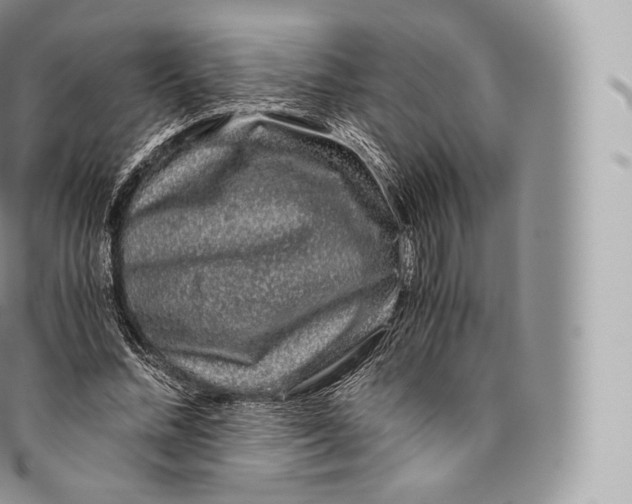 X0000096480684200802141722