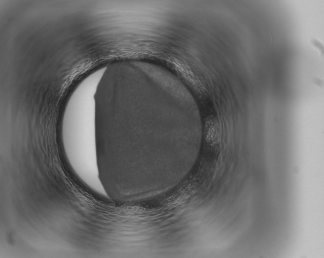 X0000096480685200802141722