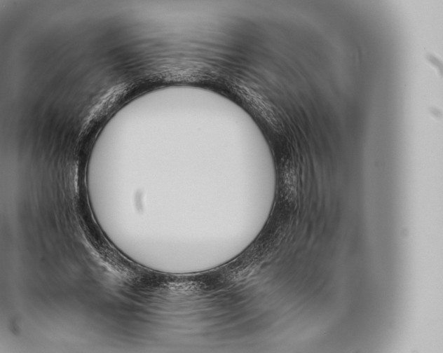 X0000096480686200802141722