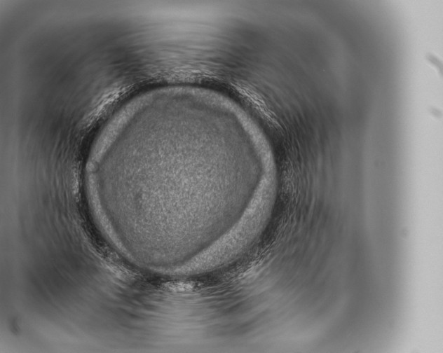 X0000096480687200802141722