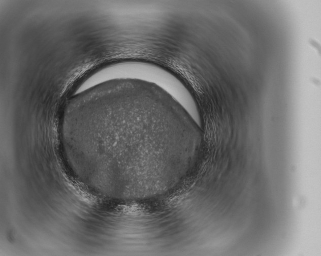 X0000096480688200802141722