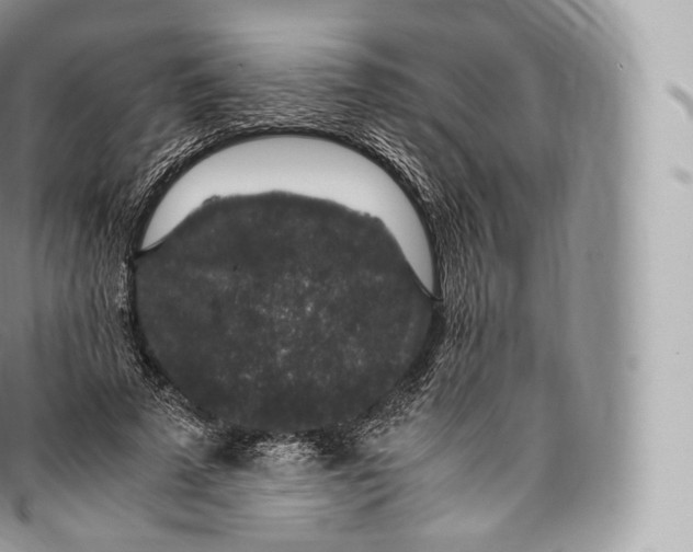 X0000096480689200802141722