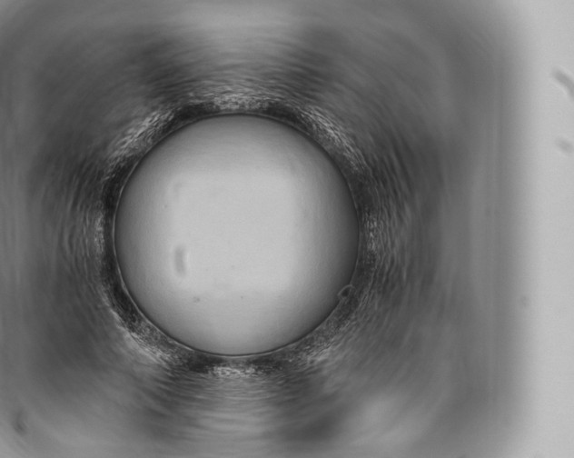 X0000096480690200802141722