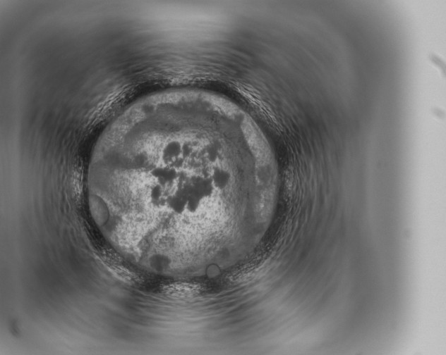 X0000096480691200802141722