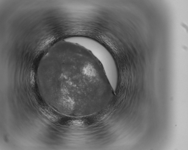 X0000096480692200802141722