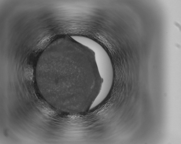 X0000096480693200802141722