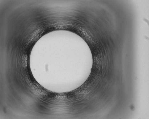 X0000096480694200802141722