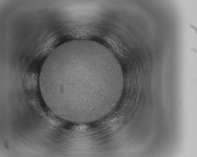 X0000096480695200802141722