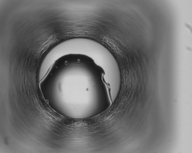 X0000096480696200802141722