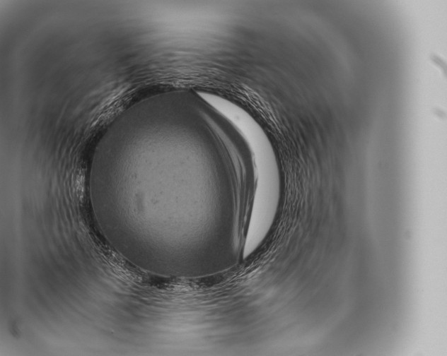 X0000096480697200802141722