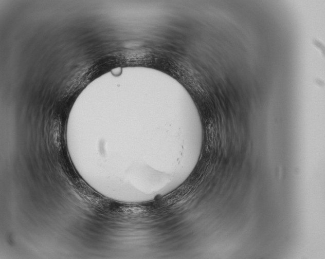 X0000096480698200802141722