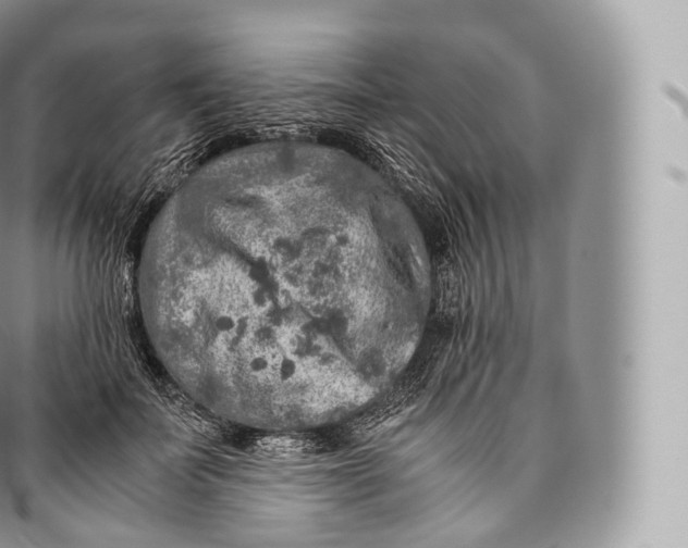 X0000096480699200802141722