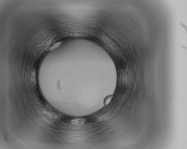 X0000096480700200802141722