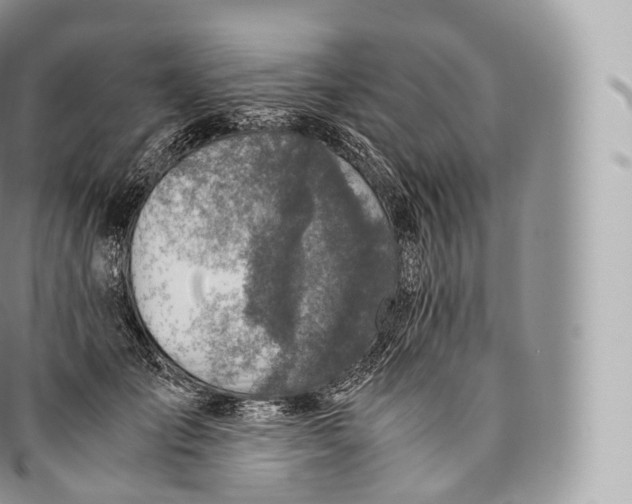 X0000096480701200802141722