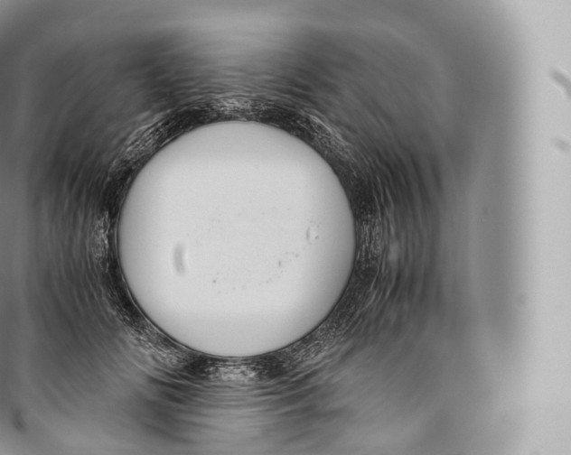 X0000096480702200802141722