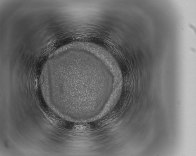 X0000096480703200802141722