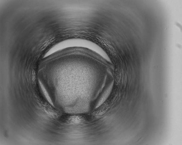 X0000096480704200802141722