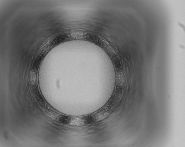 X0000096480705200802141722