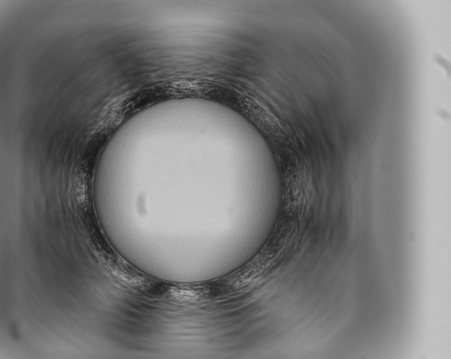 X0000096480706200802141722