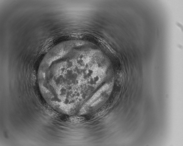 X0000096480707200802141722