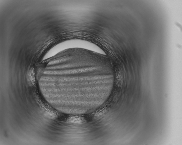 X0000096480708200802141722