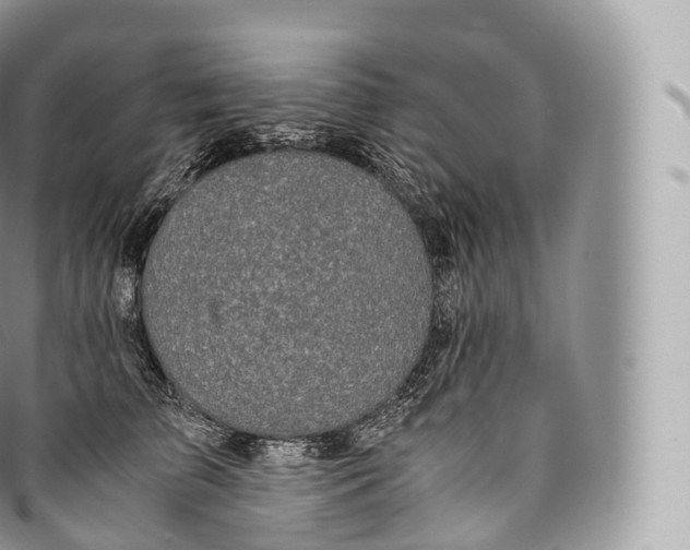 X0000096480709200802141722