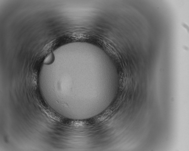 X0000096480710200802141722