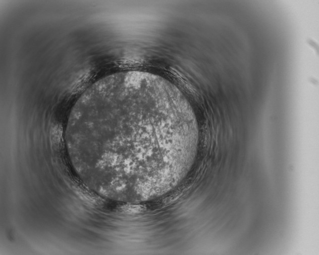 X0000096480711200802141722