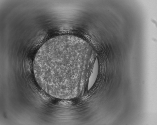 X0000096480712200802141722