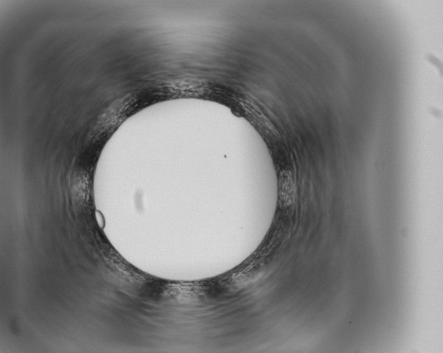 X0000096480713200802141722