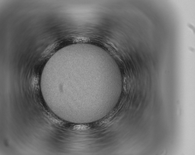 X0000096480714200802141722