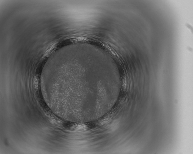 X0000096480715200802141722