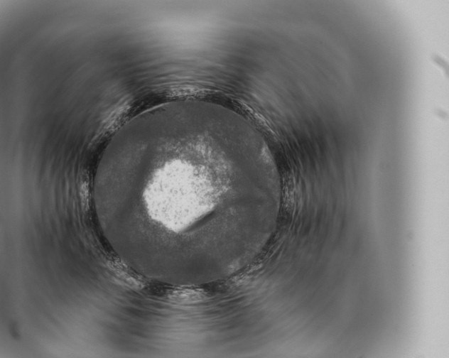 X0000096480716200802141722