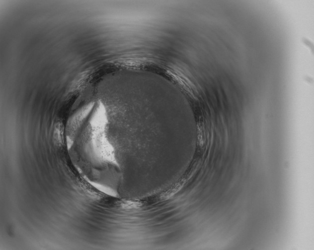 X0000096480718200802141722