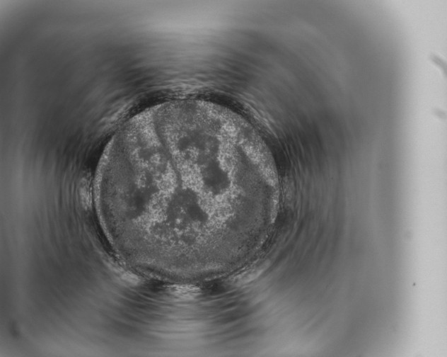 X0000096480719200802141722