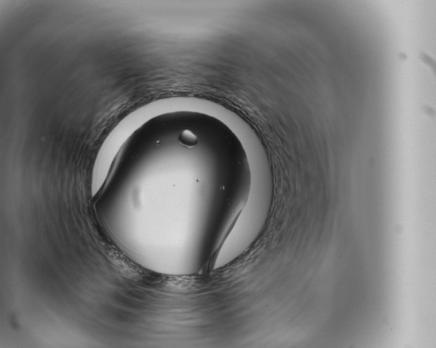 X0000096480720200802141722